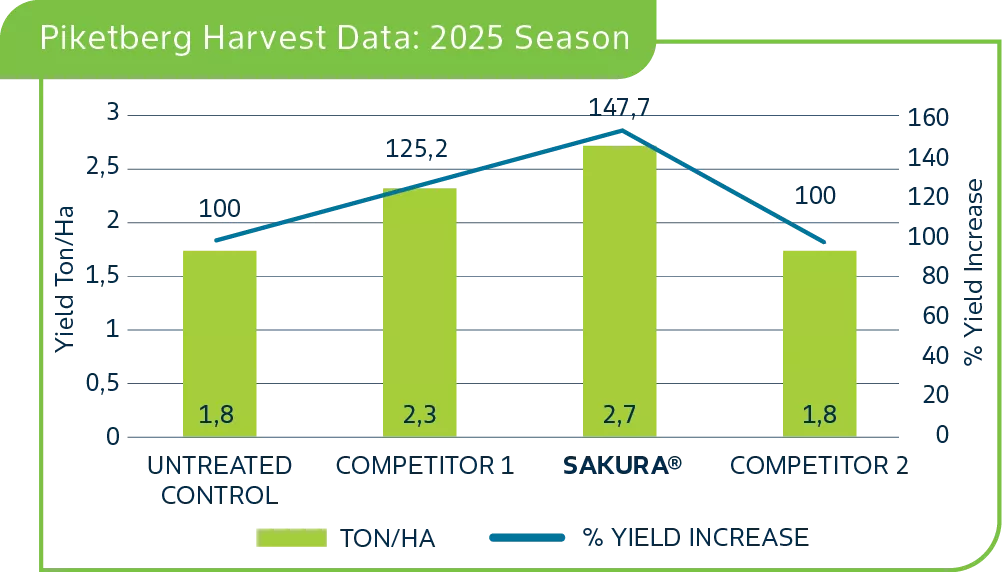 Piketberg Harvest.png